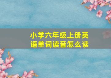 小学六年级上册英语单词读音怎么读