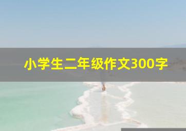 小学生二年级作文300字