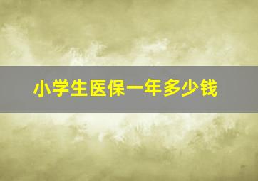 小学生医保一年多少钱