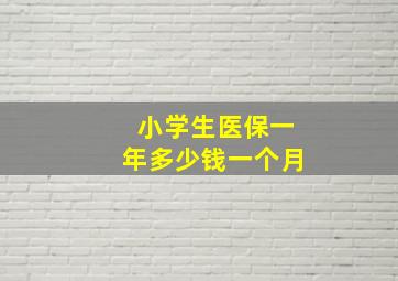 小学生医保一年多少钱一个月