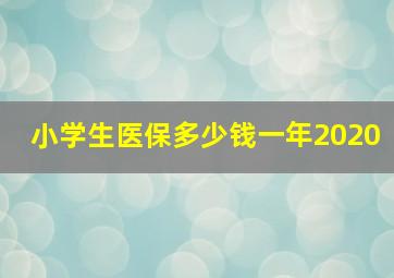 小学生医保多少钱一年2020