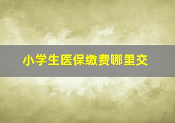 小学生医保缴费哪里交