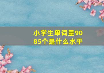 小学生单词量9085个是什么水平