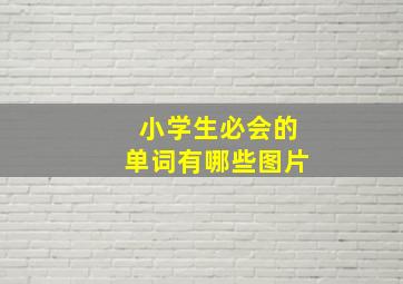 小学生必会的单词有哪些图片