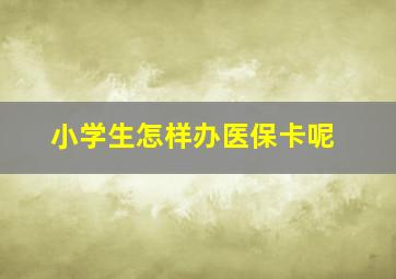 小学生怎样办医保卡呢