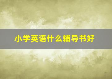 小学英语什么辅导书好