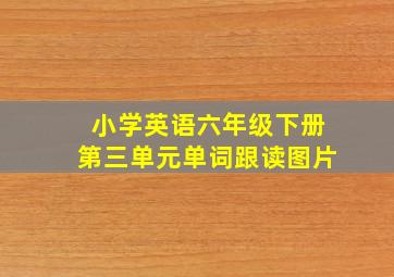 小学英语六年级下册第三单元单词跟读图片