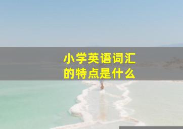 小学英语词汇的特点是什么