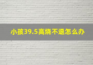 小孩39.5高烧不退怎么办