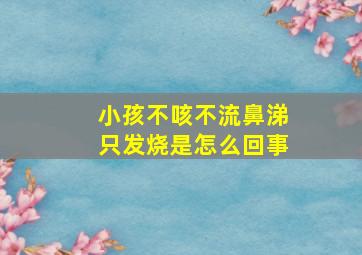 小孩不咳不流鼻涕只发烧是怎么回事