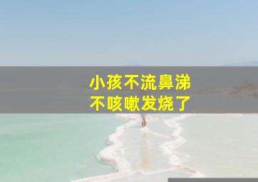 小孩不流鼻涕不咳嗽发烧了