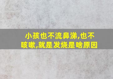 小孩也不流鼻涕,也不咳嗽,就是发烧是啥原因