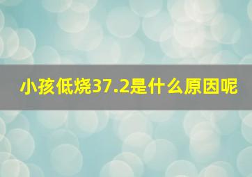 小孩低烧37.2是什么原因呢