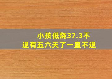 小孩低烧37.3不退有五六天了一直不退