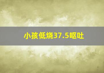 小孩低烧37.5呕吐