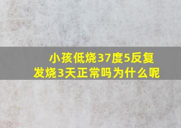 小孩低烧37度5反复发烧3天正常吗为什么呢