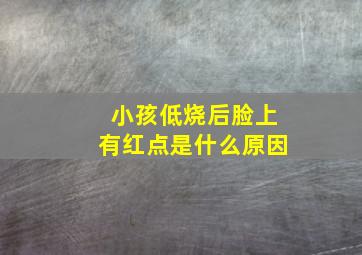 小孩低烧后脸上有红点是什么原因