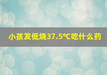 小孩发低烧37.5℃吃什么药