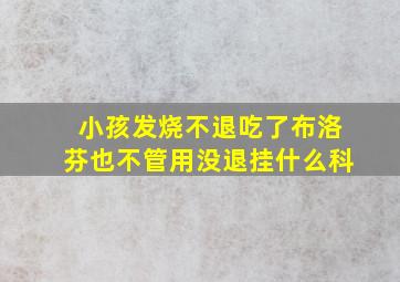 小孩发烧不退吃了布洛芬也不管用没退挂什么科