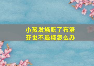 小孩发烧吃了布洛芬也不退烧怎么办