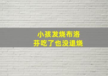 小孩发烧布洛芬吃了也没退烧