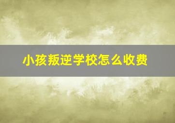 小孩叛逆学校怎么收费