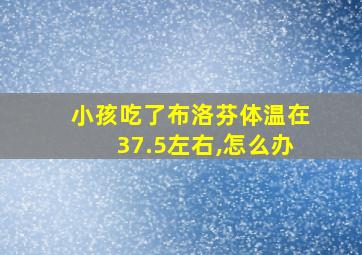 小孩吃了布洛芬体温在37.5左右,怎么办