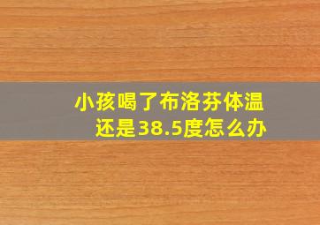 小孩喝了布洛芬体温还是38.5度怎么办