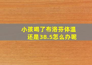 小孩喝了布洛芬体温还是38.5怎么办呢