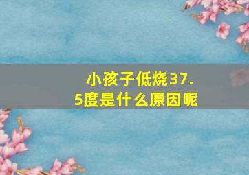 小孩子低烧37.5度是什么原因呢