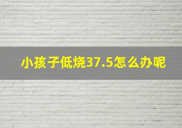 小孩子低烧37.5怎么办呢