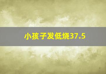 小孩子发低烧37.5