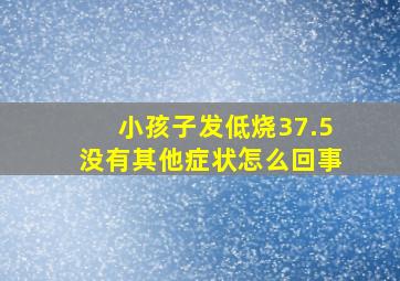 小孩子发低烧37.5没有其他症状怎么回事