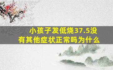 小孩子发低烧37.5没有其他症状正常吗为什么