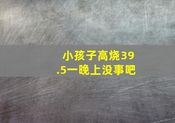 小孩子高烧39.5一晚上没事吧