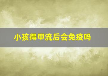 小孩得甲流后会免疫吗