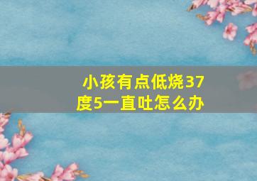 小孩有点低烧37度5一直吐怎么办