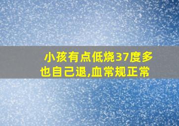 小孩有点低烧37度多也自己退,血常规正常