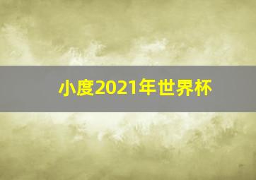 小度2021年世界杯