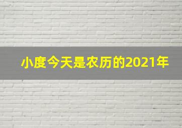 小度今天是农历的2021年