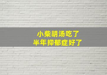 小柴胡汤吃了半年抑郁症好了