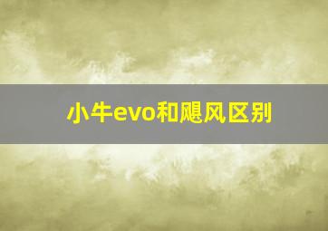 小牛evo和飓风区别