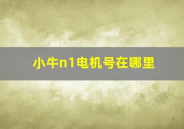 小牛n1电机号在哪里