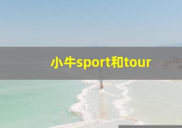 小牛sport和tour