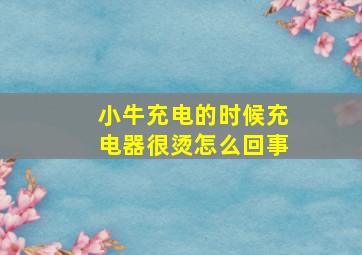 小牛充电的时候充电器很烫怎么回事