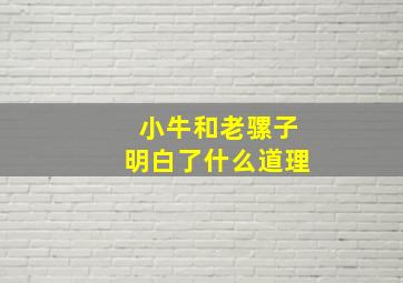 小牛和老骡子明白了什么道理