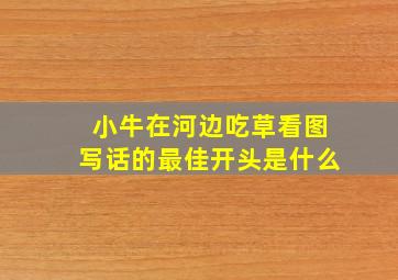 小牛在河边吃草看图写话的最佳开头是什么