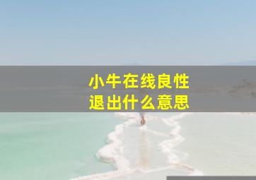 小牛在线良性退出什么意思