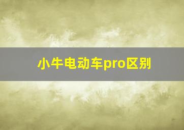 小牛电动车pro区别