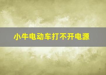 小牛电动车打不开电源